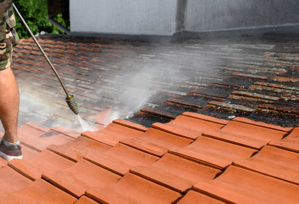 Best Pressure Washing Estimates  in Erwin, TN