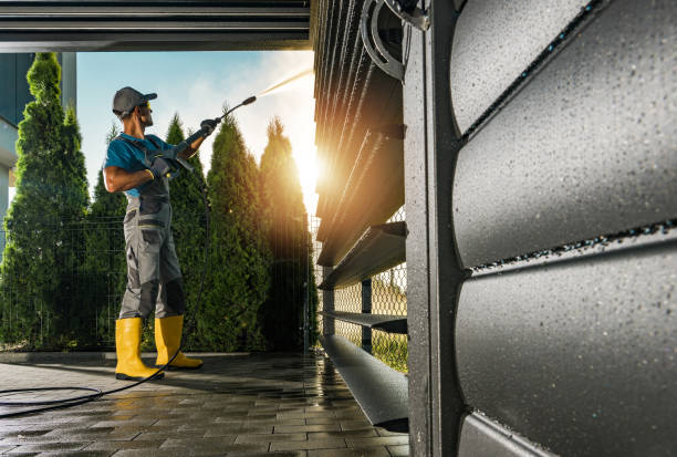 Best Roof Power Washing Services  in Erwin, TN